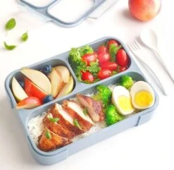 Bento Style Lunch Box | Medium 3 Compartments | Light Blue -Cheap Baby Products Store DBLUE
