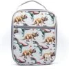 Dino Grey Lunch Bag