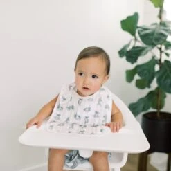 Aden + Anais Silky Soft 3-Pack Snap Bib | Now + Zen -Cheap Baby Products Store zen3